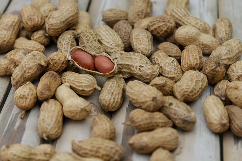 Chrono Pods